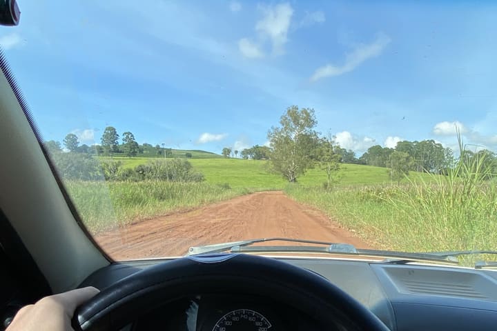 Driving a dirt road between farms, seen from behind the wheel.